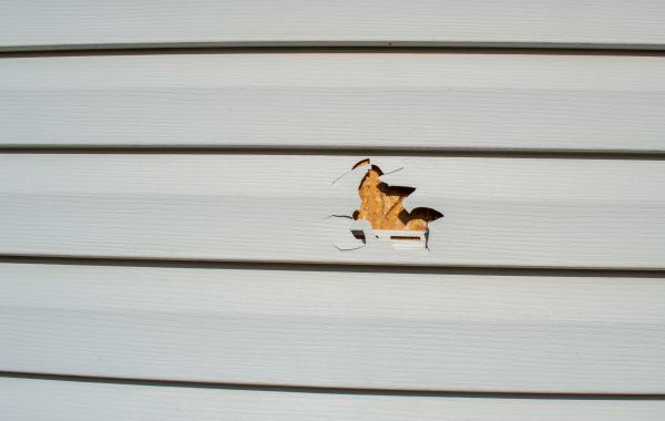Siding Hole Patching in Lakeville