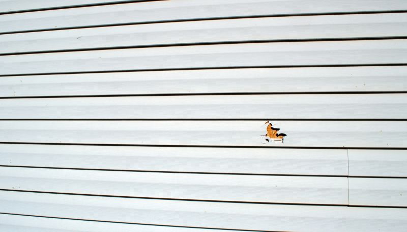 Vinyl Siding Repair - Professional Service